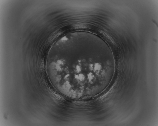 X0000091550825200709071214