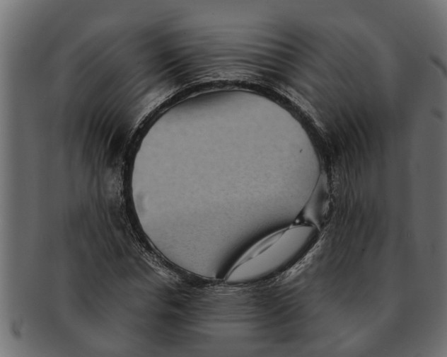 X0000091550826200709071214