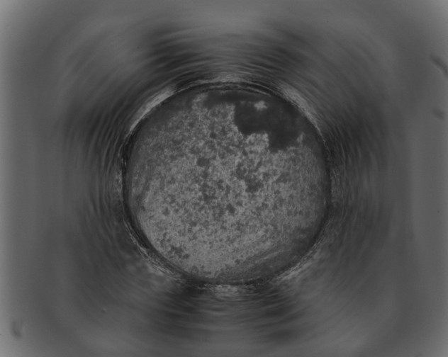 X0000091550827200709071214