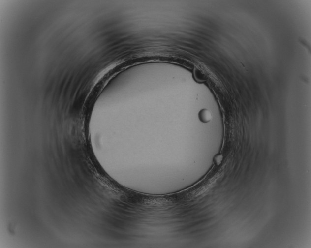 X0000091550830200709071214