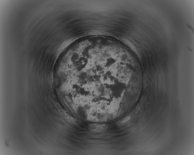 X0000091550831200709071214