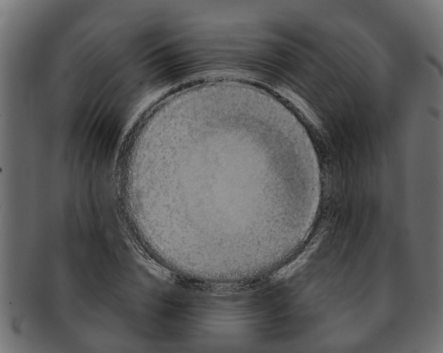 X0000091550832200709071214