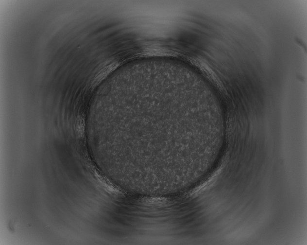 X0000091550833200709071214
