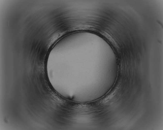 X0000091550834200709071214