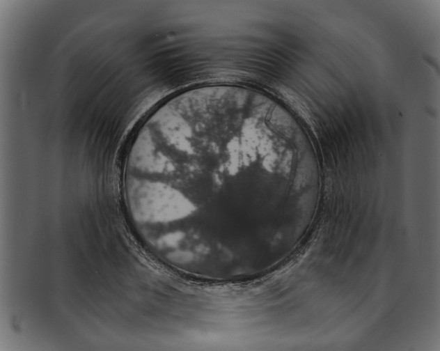 X0000091550835200709071214