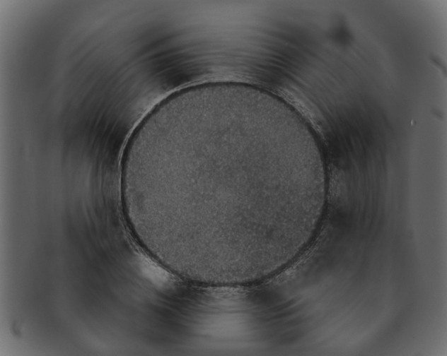 X0000091550836200709071214