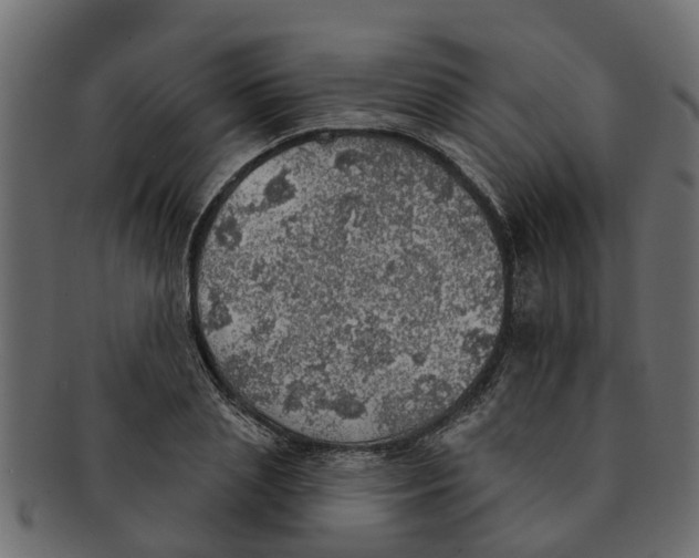 X0000091550837200709071214