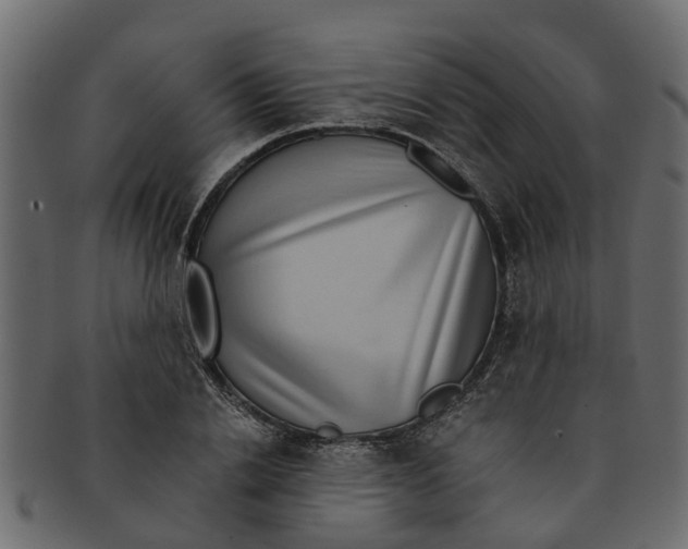 X0000091550838200709071214