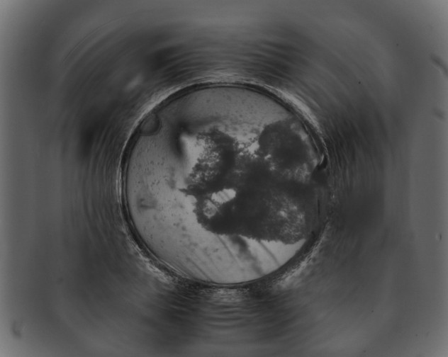 X0000091550839200709071214