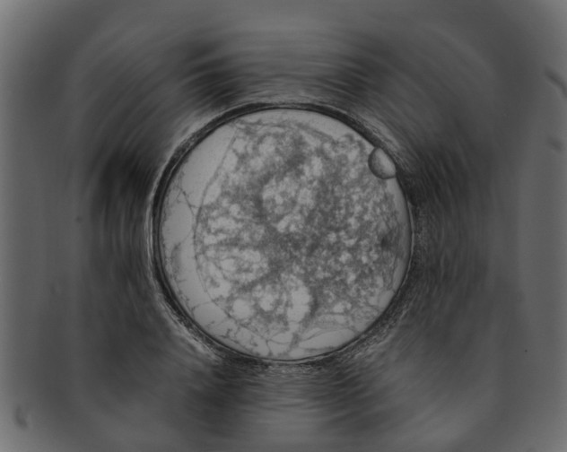 X0000091550840200709071214