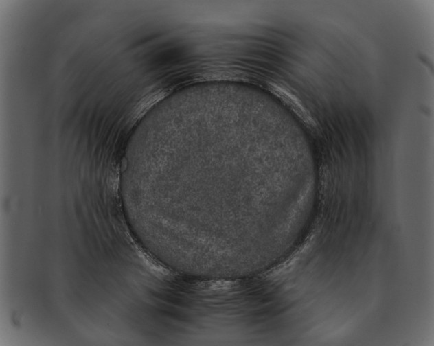 X0000091550841200709071214