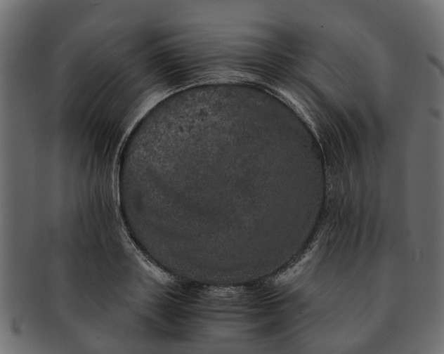 X0000091550843200709071214