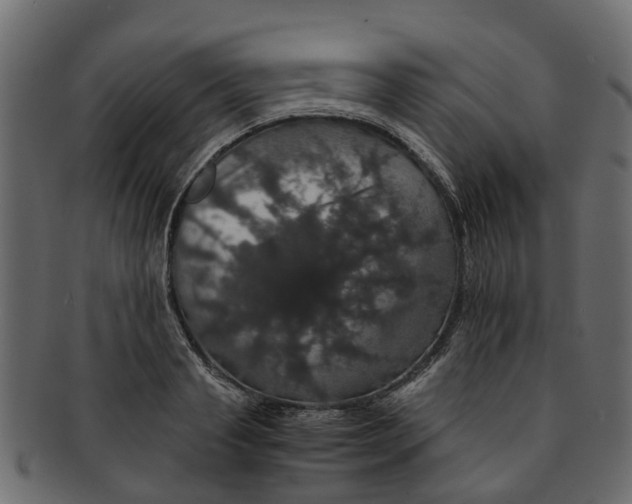 X0000091550845200709071214