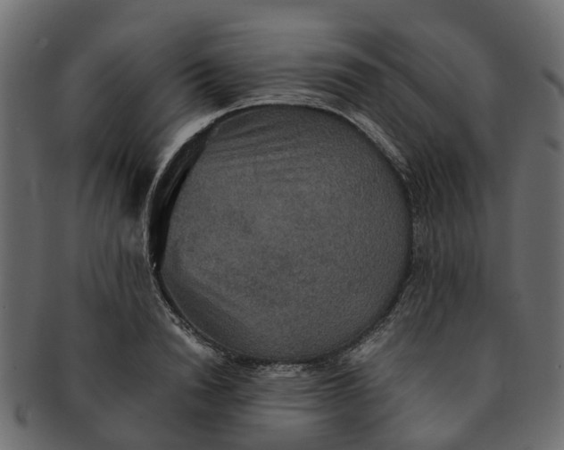 X0000091550846200709071214