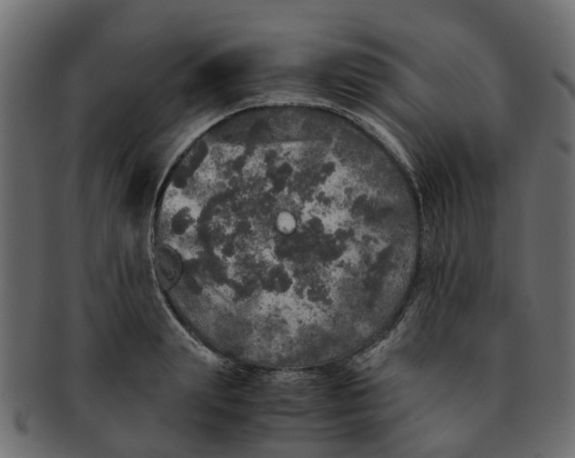 X0000091550847200709071215