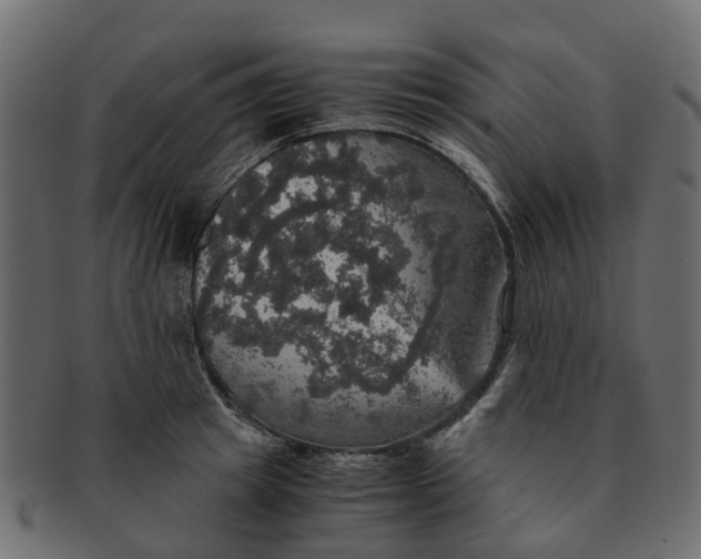 X0000091550849200709071215
