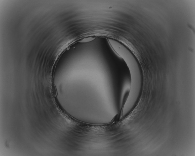 X0000091550850200709071215