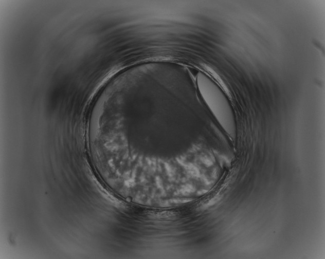 X0000091550851200709071215
