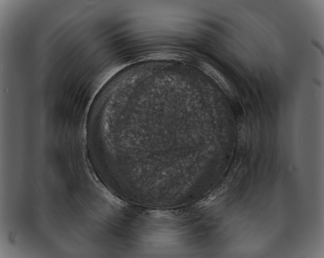 X0000091550852200709071215