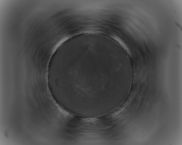 X0000091550853200709071215