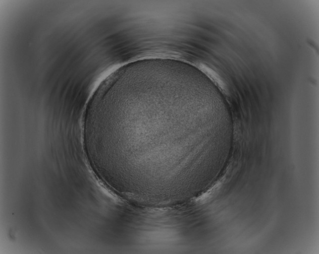 X0000091550854200709071215