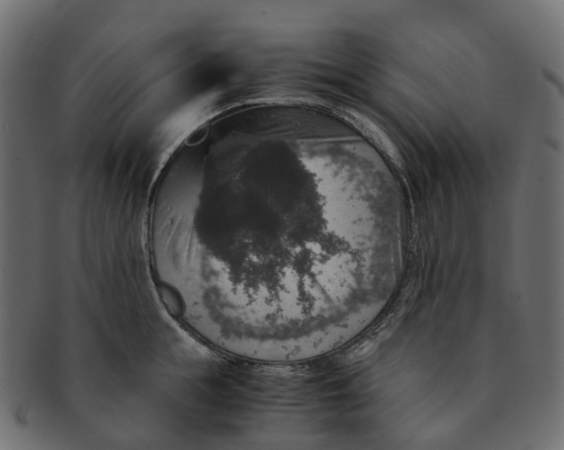 X0000091550855200709071215