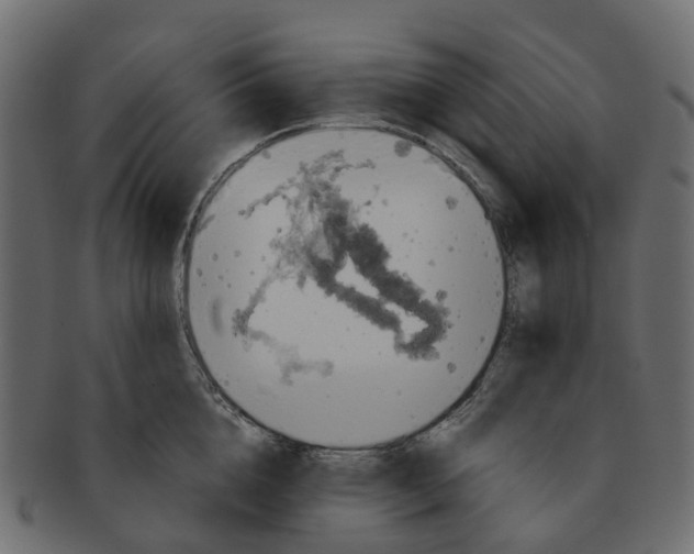 X0000091550856200709071215