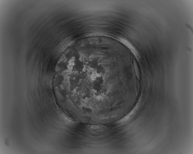 X0000091550857200709071215