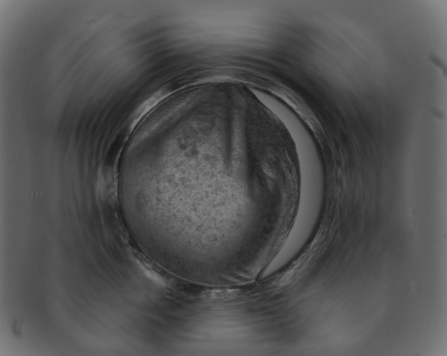 X0000091550858200709071215