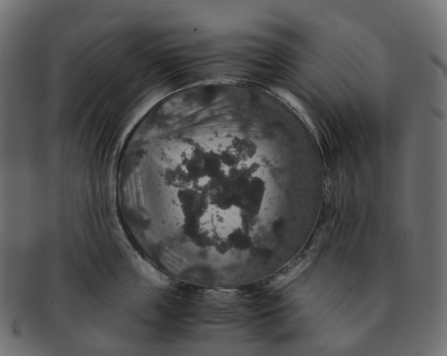 X0000091550859200709071215