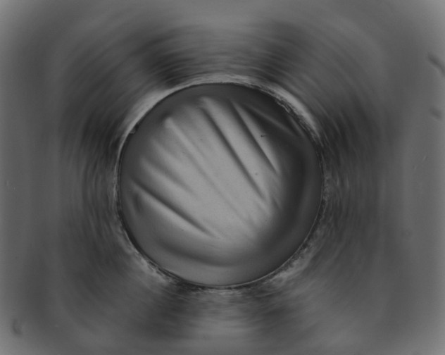 X0000091550860200709071215