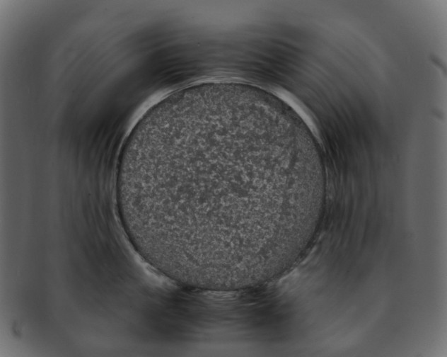 X0000091550861200709071215