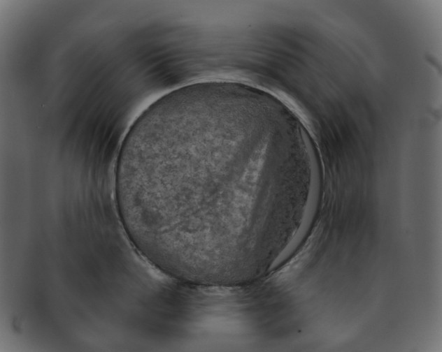 X0000091550862200709071215