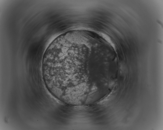 X0000091550863200709071215