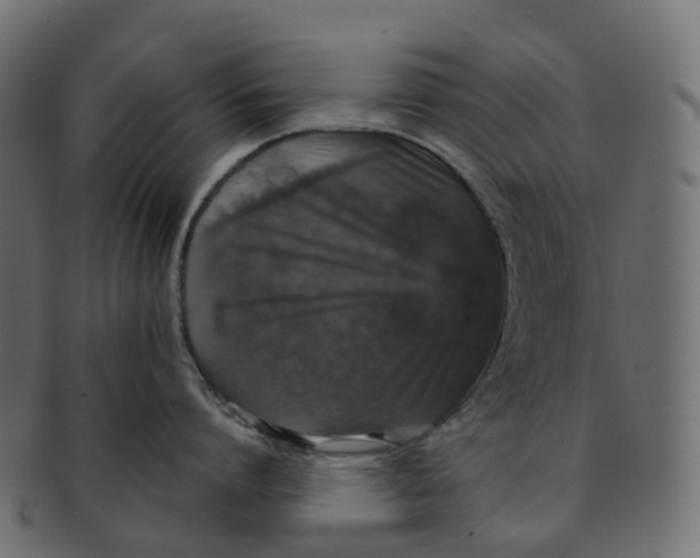 X0000091550864200709071215