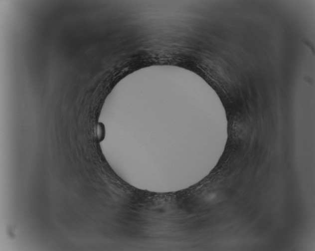 X0000091550865200709071214