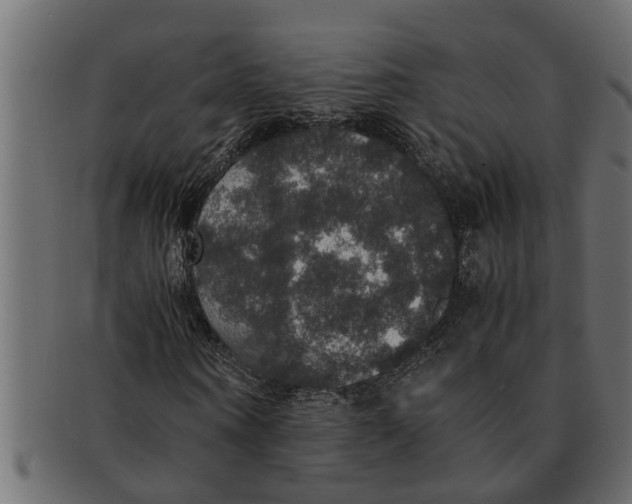 X0000091550866200709071214