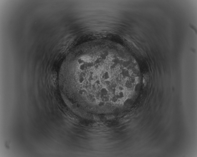 X0000091550867200709071214
