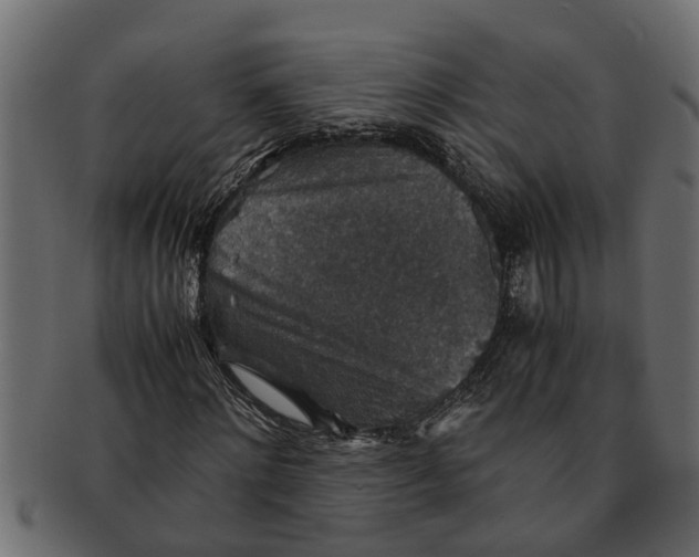 X0000091550868200709071214