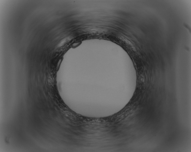 X0000091550869200709071214