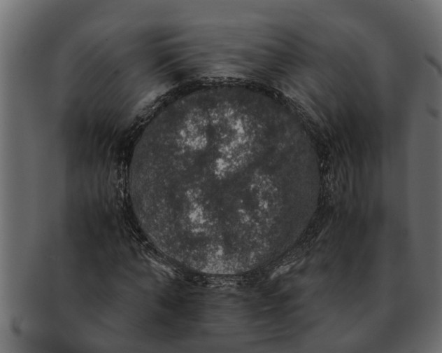 X0000091550870200709071214