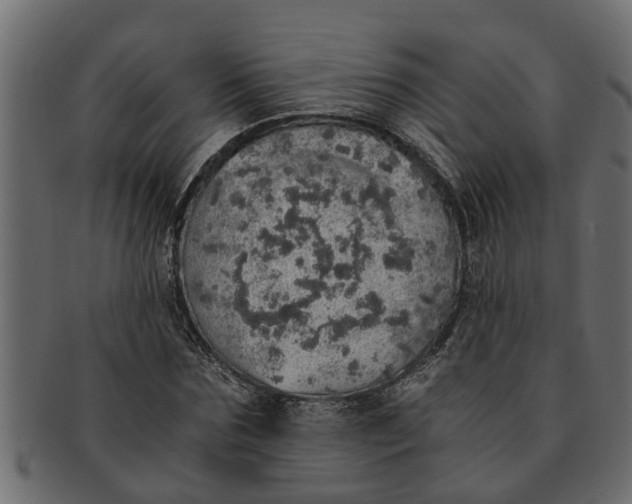 X0000091550875200709071214