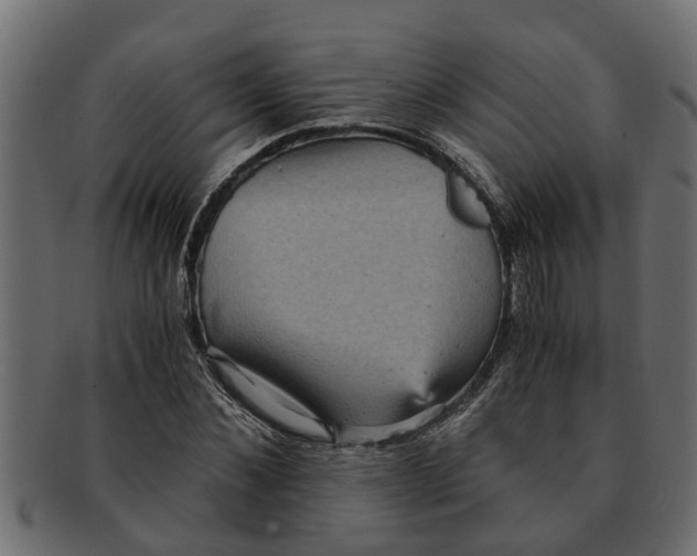 X0000091550876200709071214