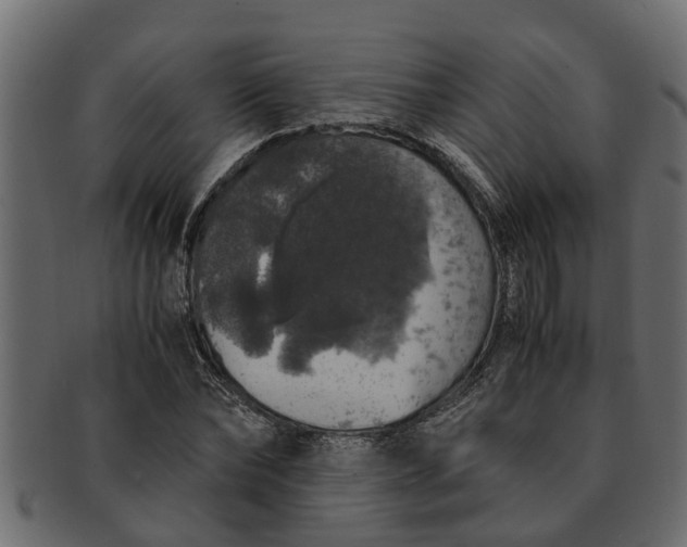 X0000091550878200709071214