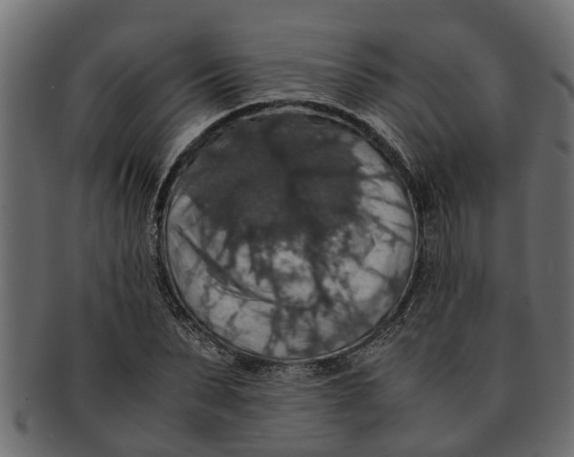 X0000091550879200709071214