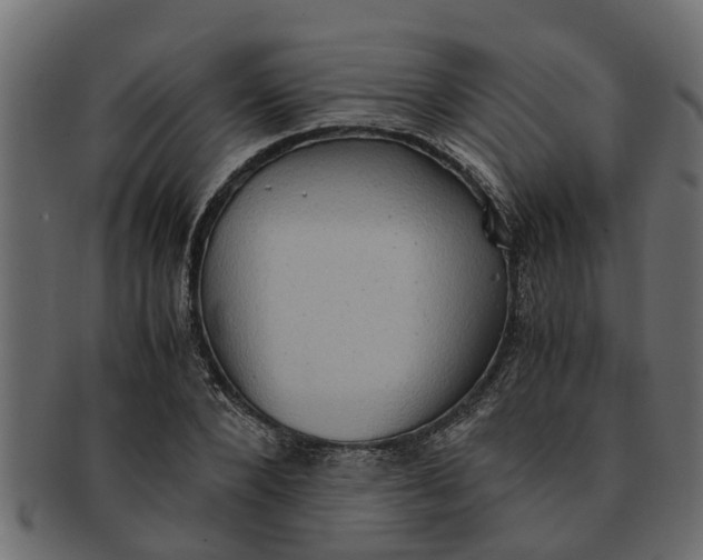 X0000091550880200709071214