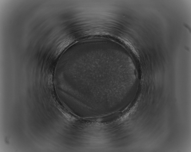 X0000091550881200709071214