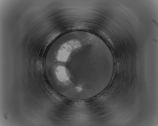 X0000091550882200709071214