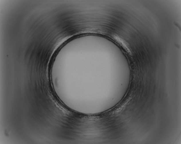 X0000091550884200709071214