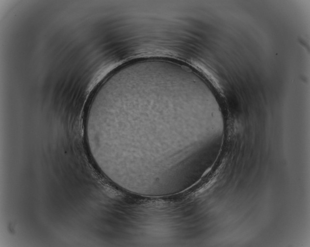 X0000091550885200709071214